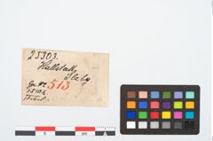 Etikett zu Bronzekahnfibel (NHMW-PRAE-025303)
